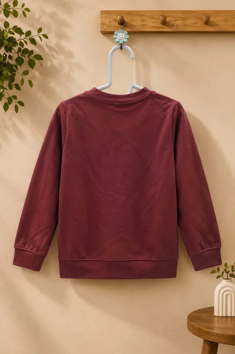 Kids Maroon Solid Pocket Sweatshirt – view 3